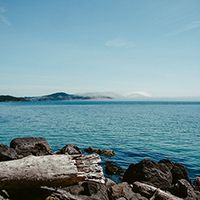 卡密交易平台的网络ddos监测分析工具