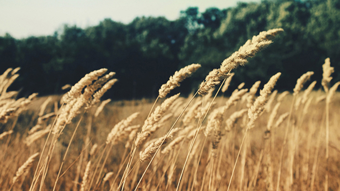 ddos攻击在哪能买到